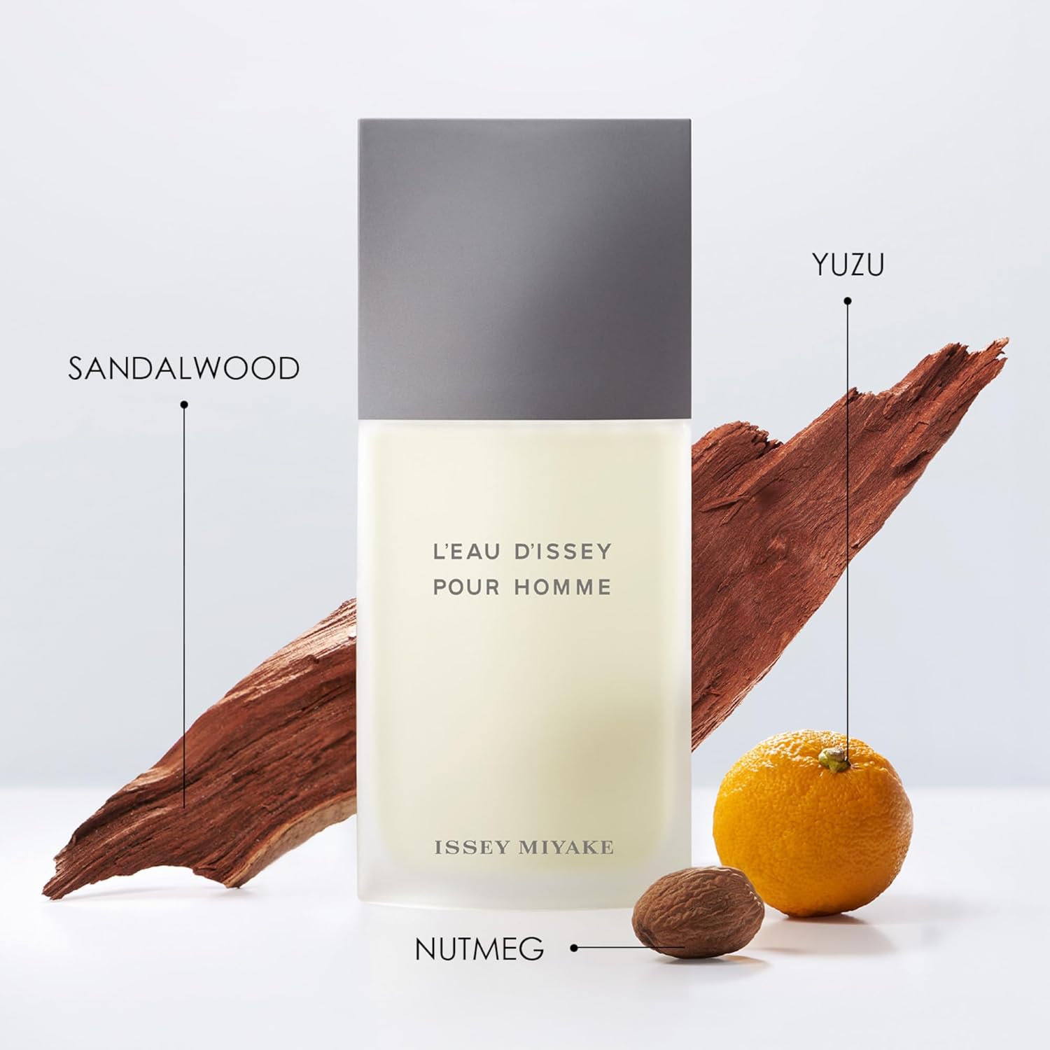 Fragancia L'Eau D'Issey Pour Homme de Issey Miyake para Hombre - 200 ml EDT Spray