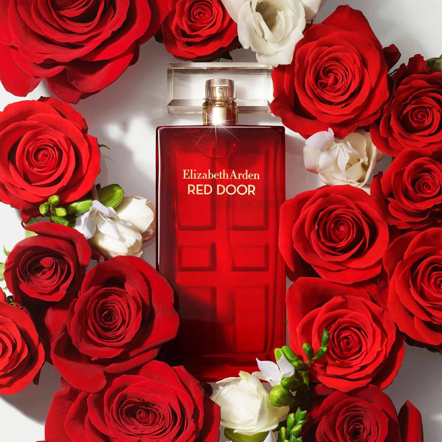 Fragancia Red Door de Elizabeth Arden para Mujer 100 ml