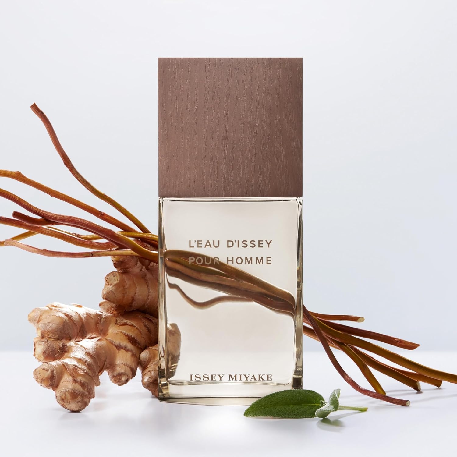 Fragancia L'Eau d'Issey Pour Homme Vétiver para Hombre 100 ml