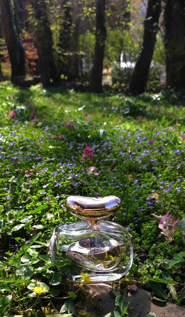 Fragancia Illuminare de Vince Camuto para Mujer 100 ml