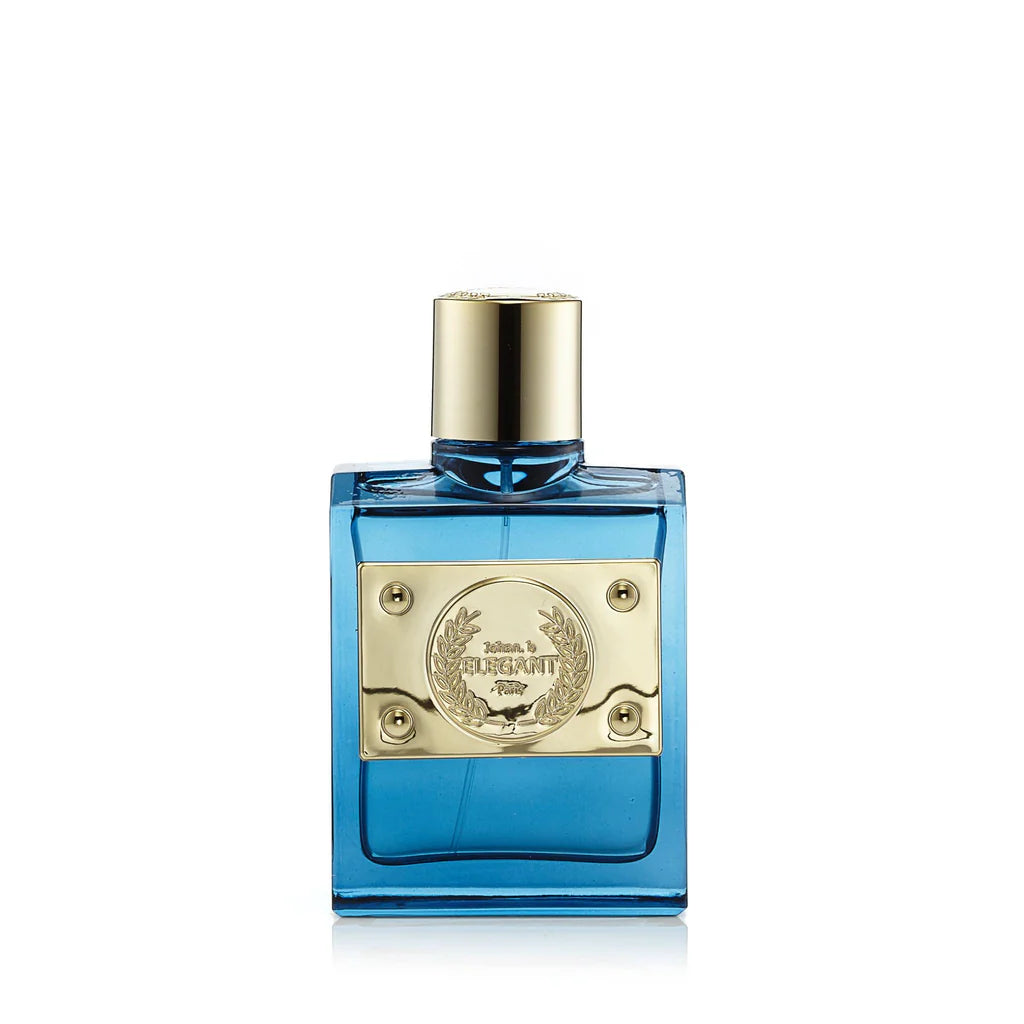 Fragancia Elegant Attractive Pour Homme para Hombre 100 ml