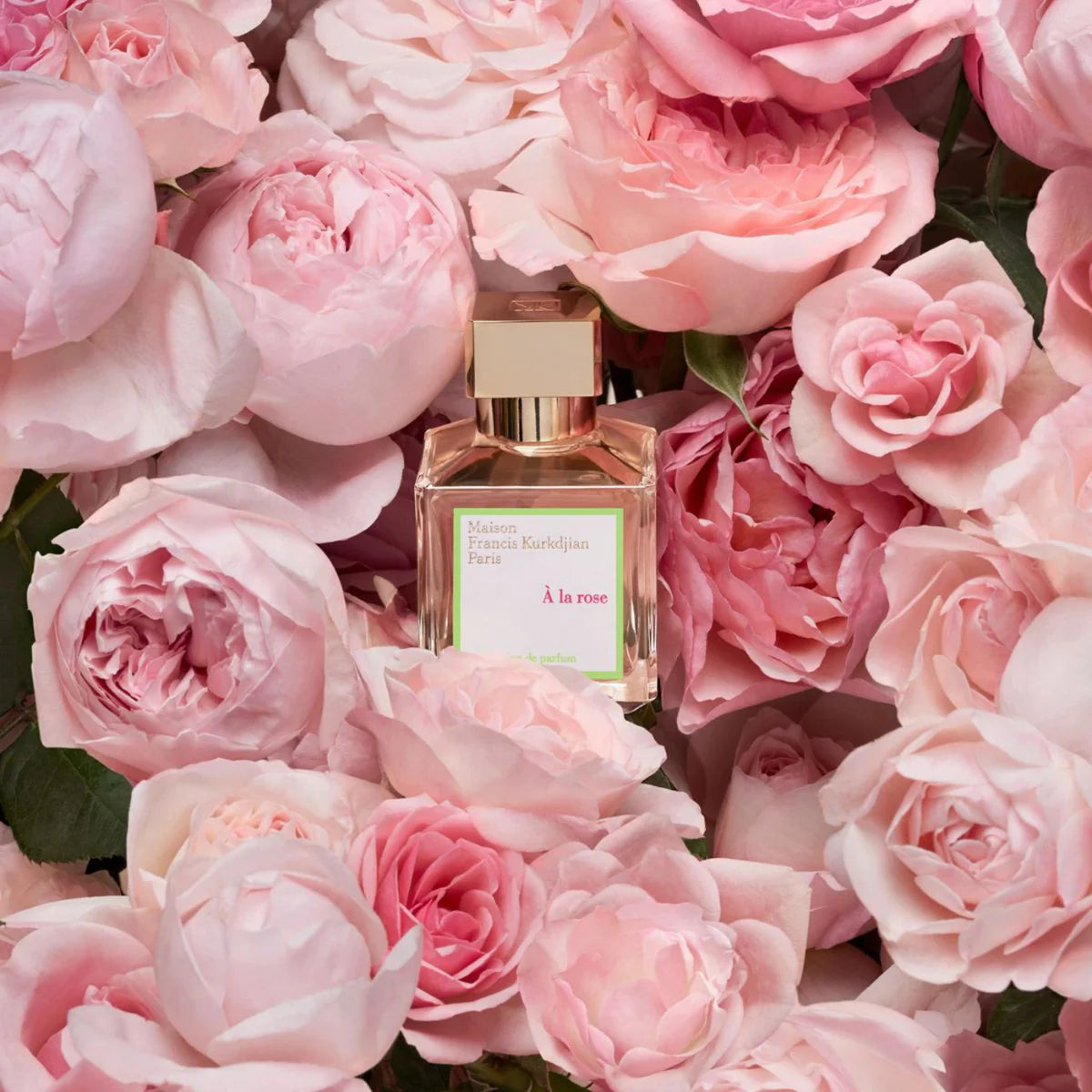 Fragancia À La Rose de Maison Francis para Mujer 70 ml